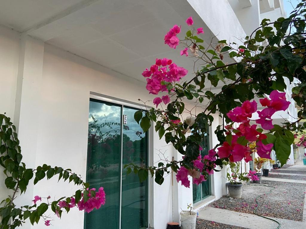 Hotel Solar Teixeira Flats Pôrto das Galinhas Zewnętrze zdjęcie